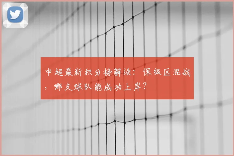中超最新积分榜解读：保级区混战，哪支球队能成功上岸？