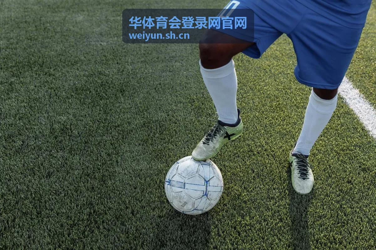 华体育会登录网官网登录入口指引内容封面
