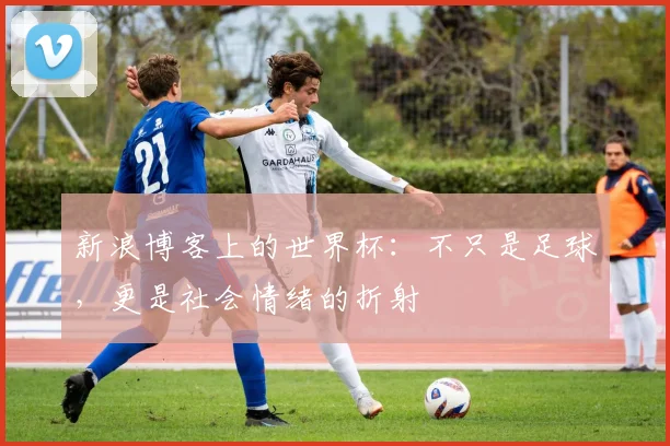 新浪博客上的世界杯：不只是足球，更是社会情绪的折射