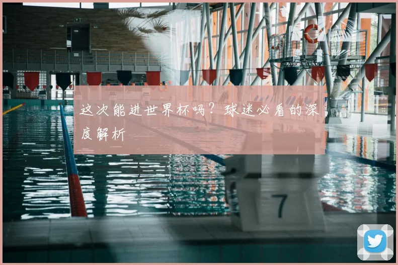 这次能进世界杯吗？球迷必看的深度解析