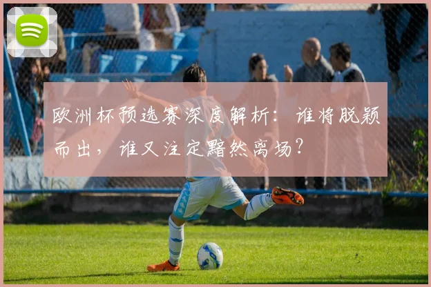 欧洲杯预选赛深度解析：谁将脱颖而出，谁又注定黯然离场？