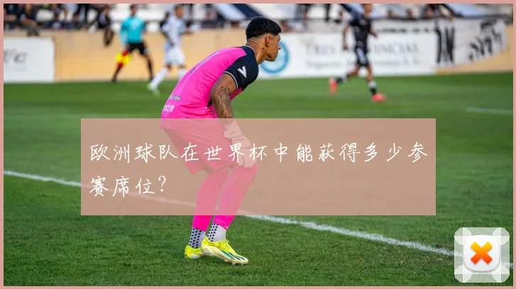 欧洲球队在世界杯中能获得多少参赛席位？