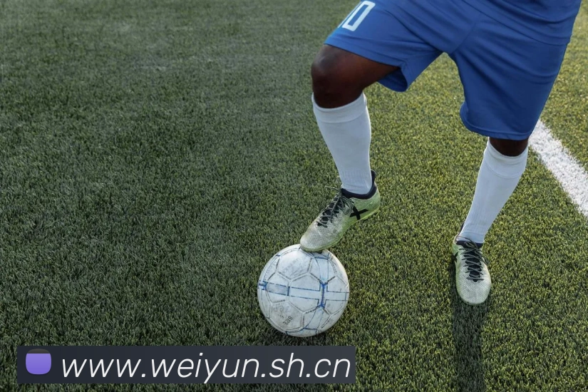 开云app官方入口网站平台生态图