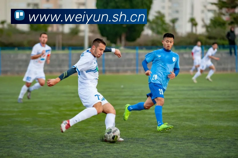 数据防护可视化